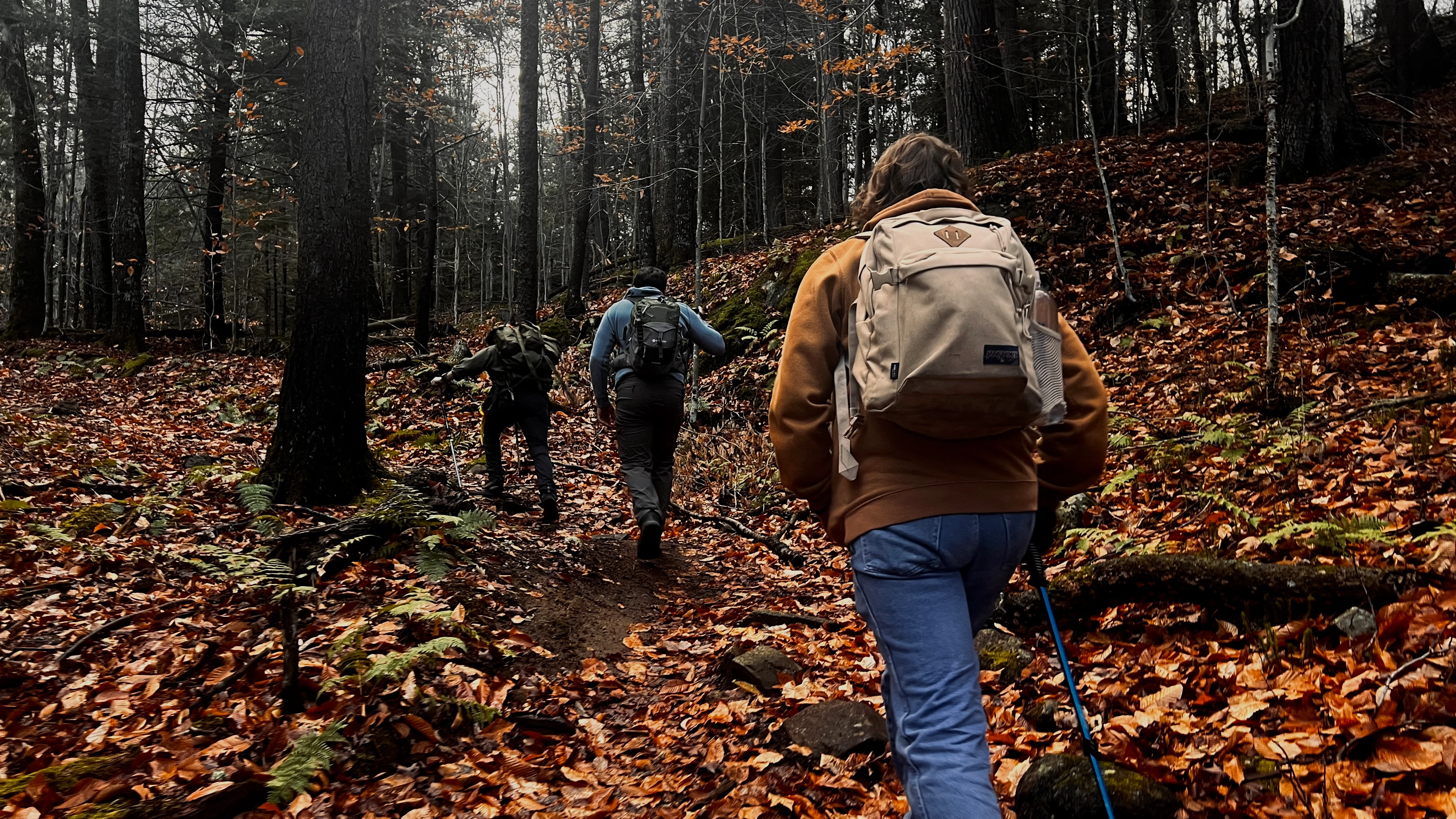 Three hikers with backpacks walking single file along a fallen-leaf trail through a bare autumn forest