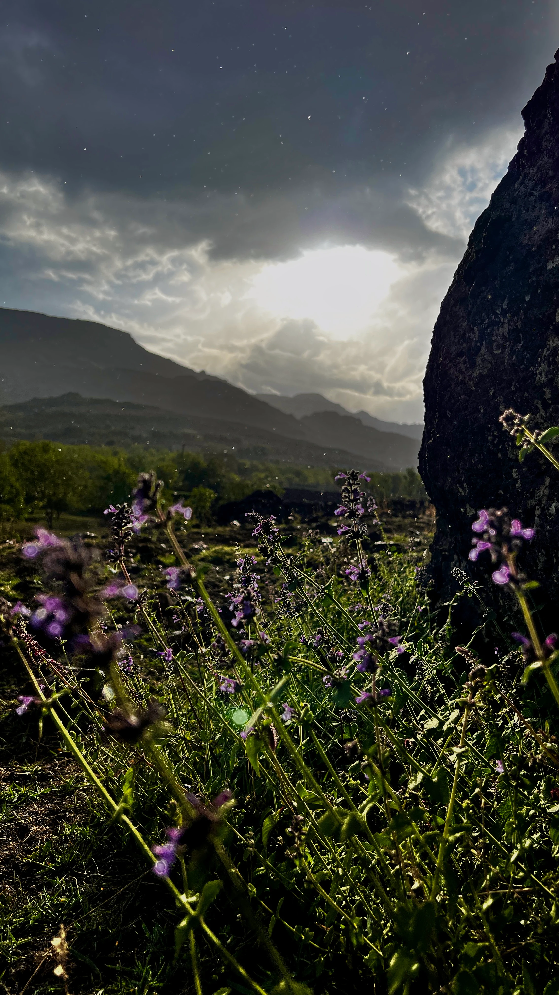 Sunlight breaking through a dramatic cloud formation over silhouetted mountains, purple wildflowers and a boulder in the foreground