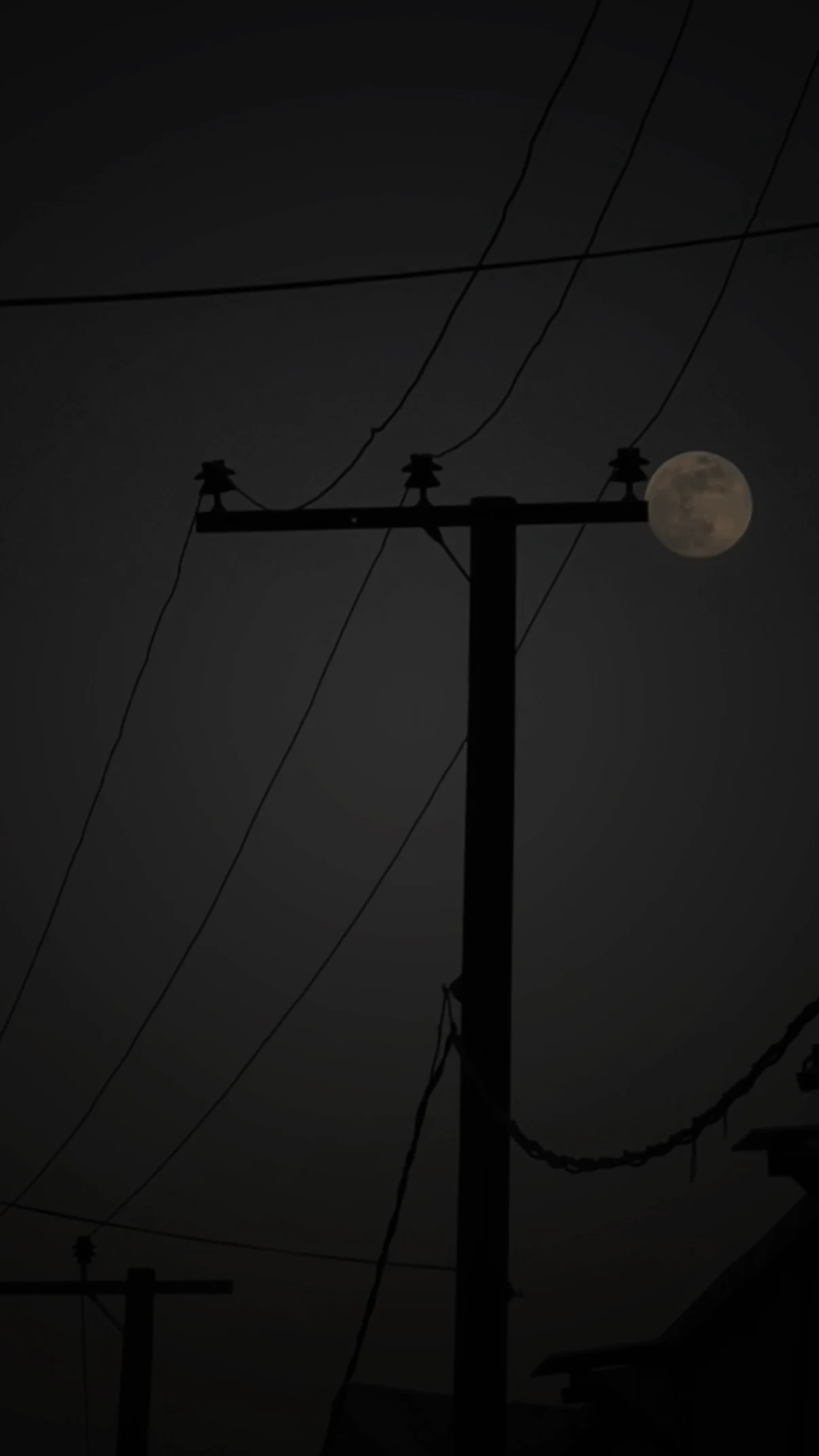 A large full moon rising beside a silhouetted utility pole and power lines at dusk