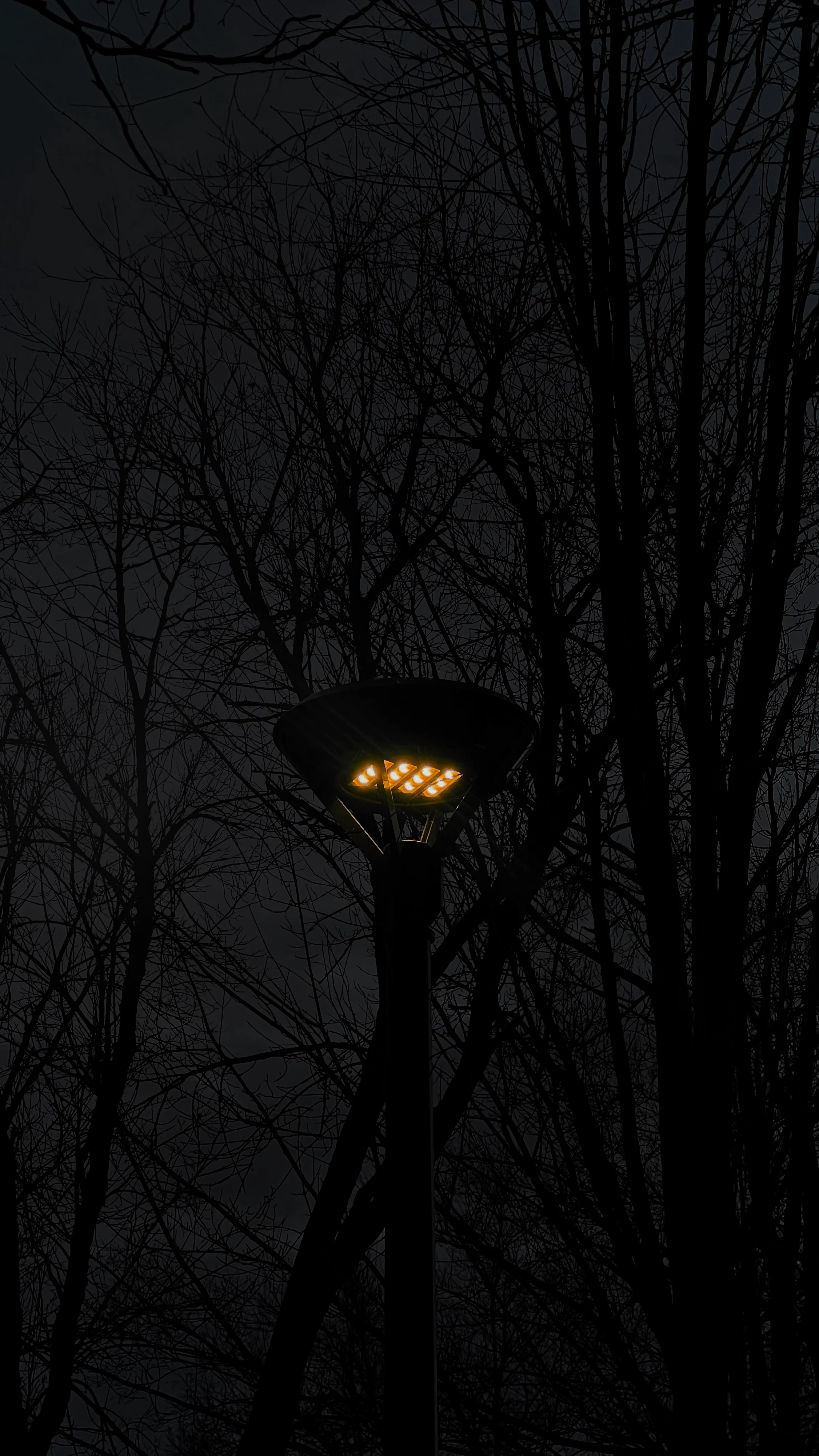 A park lamp glowing warm orange amid a tangle of bare tree branches against the night sky