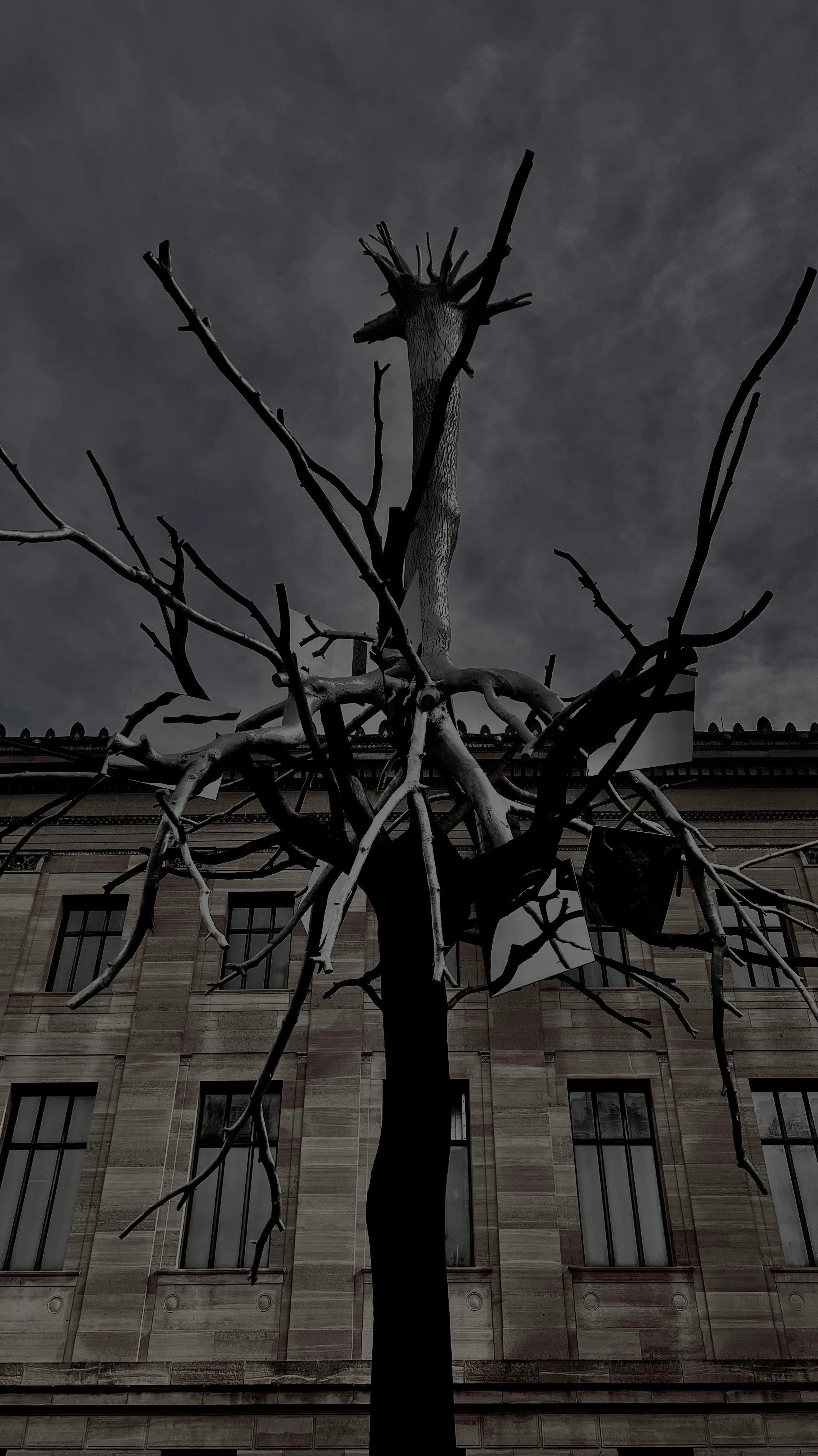 A bare, sculptural dead tree silhouetted against a cloudy dusk sky in front of an ornate stone building facade